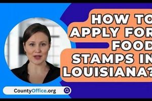 Find Your Louisiana Food Stamp Office Near You | Old Stamp Collecting Guide: Discover, Value & Preserve Vintage Stamps