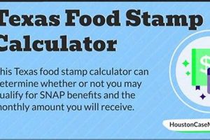 Get TX Disaster Food Stamps Now! | Old Stamp Collecting Guide: Discover, Value & Preserve Vintage Stamps