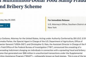 Current Food Stamp Fraud Numbers & Statistics | Old Stamp Collecting Guide: Discover, Value & Preserve Vintage Stamps