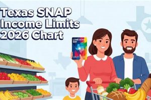 Guide to Texas Food Stamp Rules & Eligibility | Old Stamp Collecting Guide: Discover, Value & Preserve Vintage Stamps