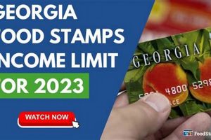 GA Food Stamp Income Limits & Guidelines 2024 | Old Stamp Collecting Guide: Discover, Value & Preserve Vintage Stamps