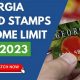 GA Food Stamp Income Limits & Guidelines 2024 | Old Stamp Collecting Guide: Discover, Value & Preserve Vintage Stamps