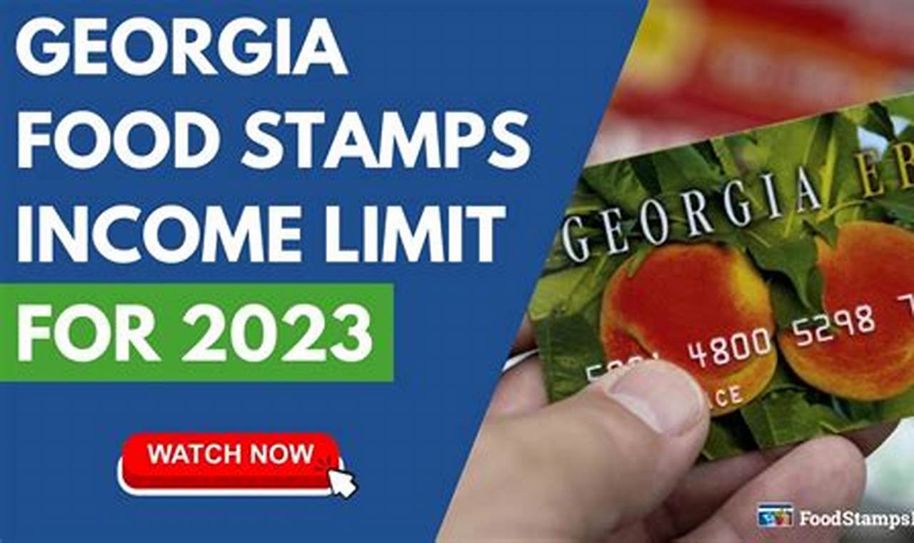 GA Food Stamp Income Limits & Guidelines 2024 | Old Stamp Collecting Guide: Discover, Value & Preserve Vintage Stamps