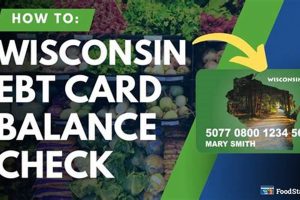 Check Your Wisconsin Food Stamp Balance Now | Old Stamp Collecting Guide: Discover, Value & Preserve Vintage Stamps