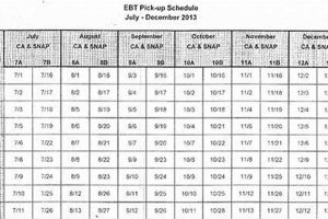 Md Food Stamp Dates | Old Stamp Collecting Guide: Discover, Value & Preserve Vintage Stamps