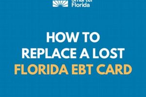 Lost Your Florida EBT Card? Replace It Now! | Old Stamp Collecting Guide: Discover, Value & Preserve Vintage Stamps