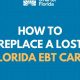 Lost Your Florida EBT Card? Replace It Now! | Old Stamp Collecting Guide: Discover, Value & Preserve Vintage Stamps