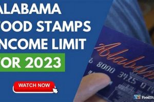 Alabama Food Stamp Program: A Guide to Eligibility | Old Stamp Collecting Guide: Discover, Value & Preserve Vintage Stamps