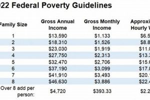 Easy Food Stamp Calc: Benefits Estimator | Old Stamp Collecting Guide: Discover, Value & Preserve Vintage Stamps